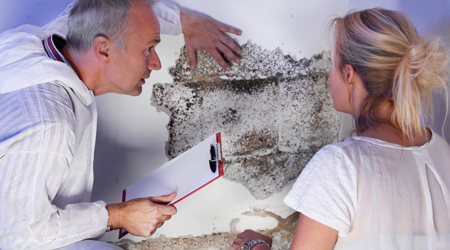 How to avoid mold growth on your property