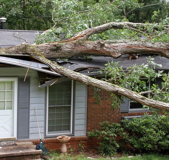 Storm Damage Removal Nashville