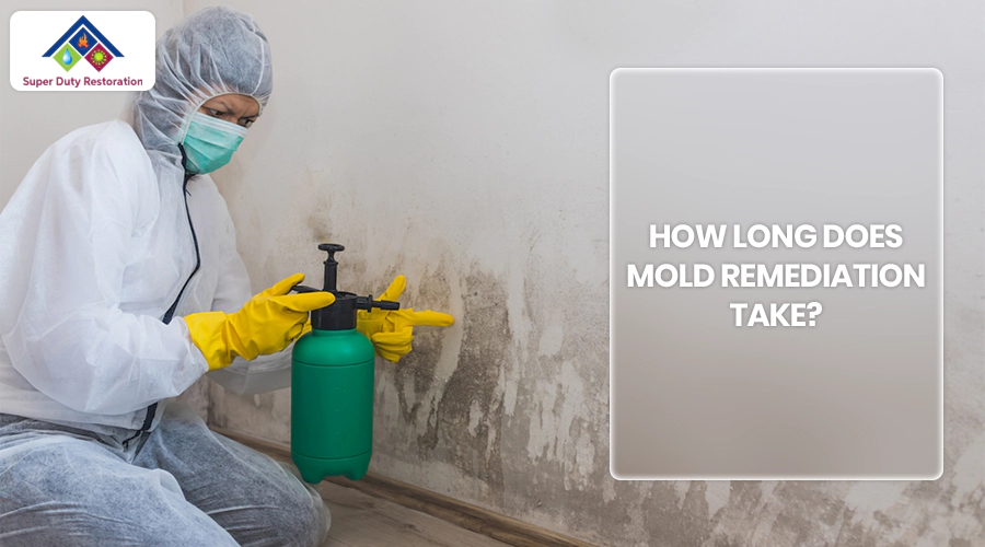 How Long Does Mold Remediation Take