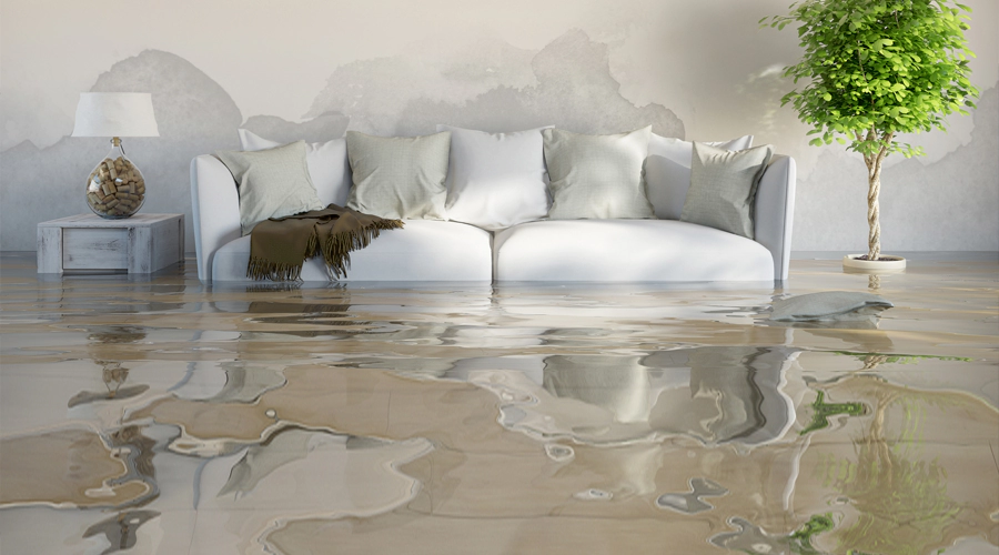 how-to-prevent-water-damage-in-apartment