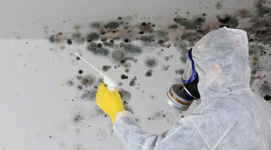 use-mold-resistant-materials