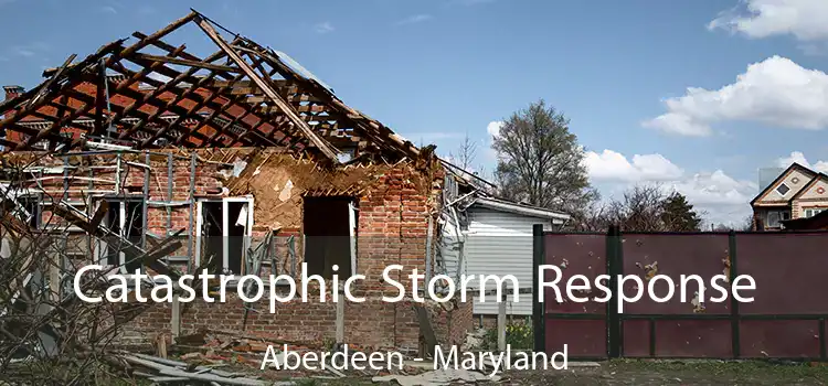 Catastrophic Storm Response Aberdeen - Maryland