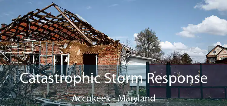 Catastrophic Storm Response Accokeek - Maryland