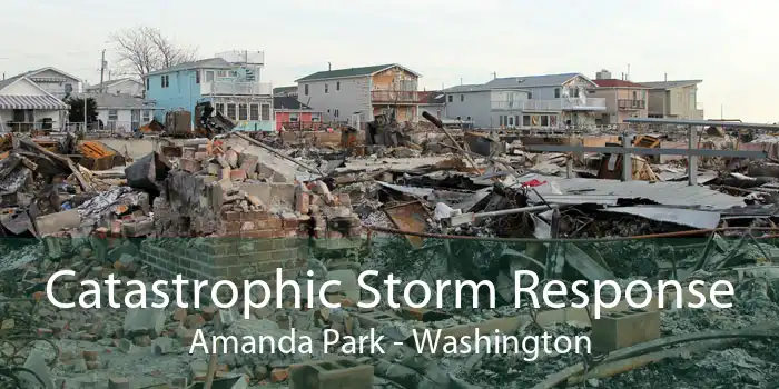 Catastrophic Storm Response Amanda Park - Washington
