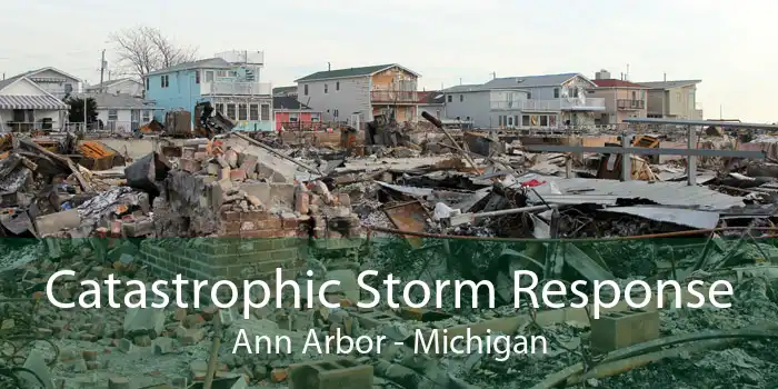 Catastrophic Storm Response Ann Arbor - Michigan