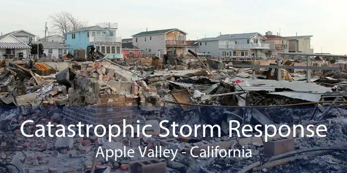 Catastrophic Storm Response Apple Valley - California