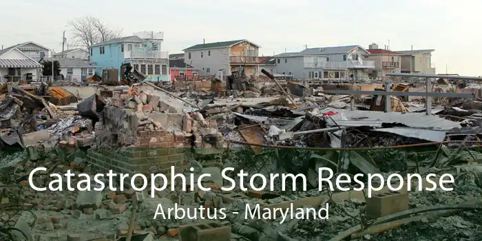 Catastrophic Storm Response Arbutus - Maryland