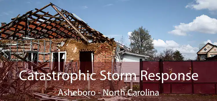 Catastrophic Storm Response Asheboro - North Carolina