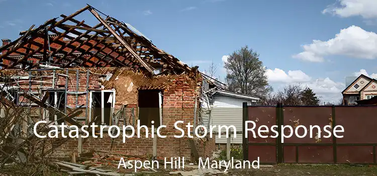 Catastrophic Storm Response Aspen Hill - Maryland