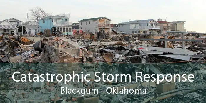 Catastrophic Storm Response Blackgum - Oklahoma