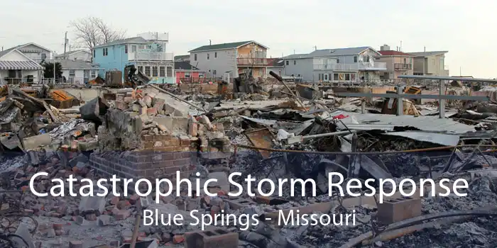 Catastrophic Storm Response Blue Springs - Missouri