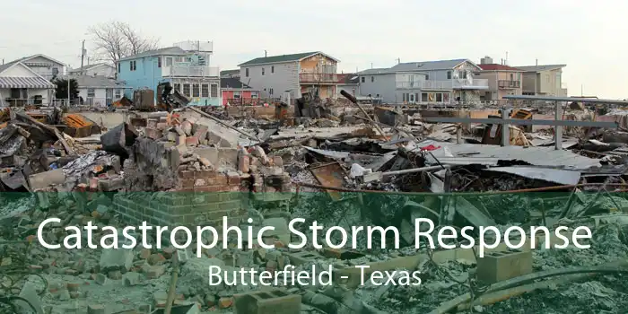 Catastrophic Storm Response Butterfield - Texas