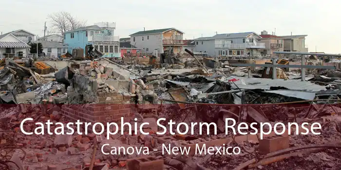 Catastrophic Storm Response Canova - New Mexico