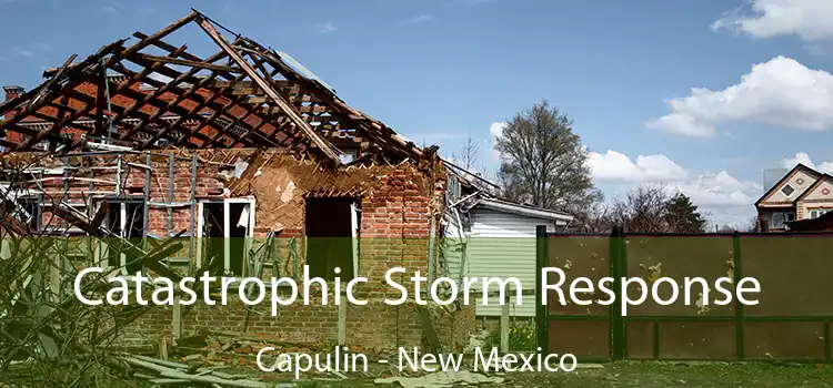 Catastrophic Storm Response Capulin - New Mexico