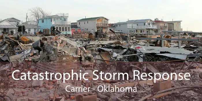 Catastrophic Storm Response Carrier - Oklahoma