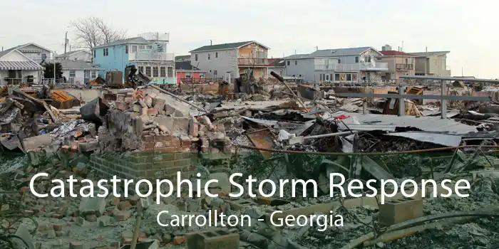 Catastrophic Storm Response Carrollton - Georgia