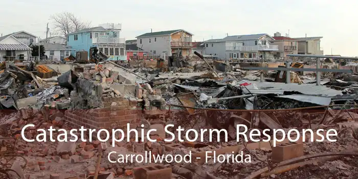 Catastrophic Storm Response Carrollwood - Florida