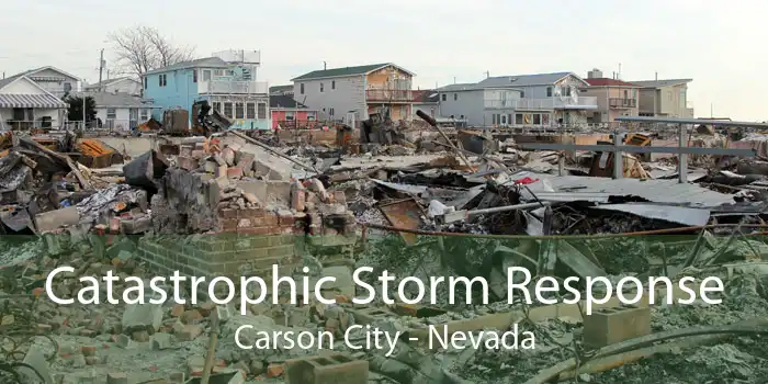 Catastrophic Storm Response Carson City - Nevada