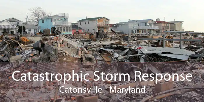 Catastrophic Storm Response Catonsville - Maryland