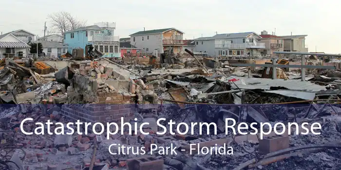 Catastrophic Storm Response Citrus Park - Florida