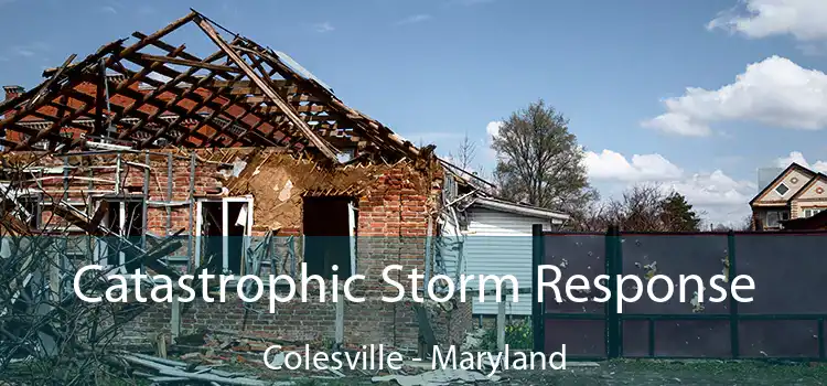 Catastrophic Storm Response Colesville - Maryland