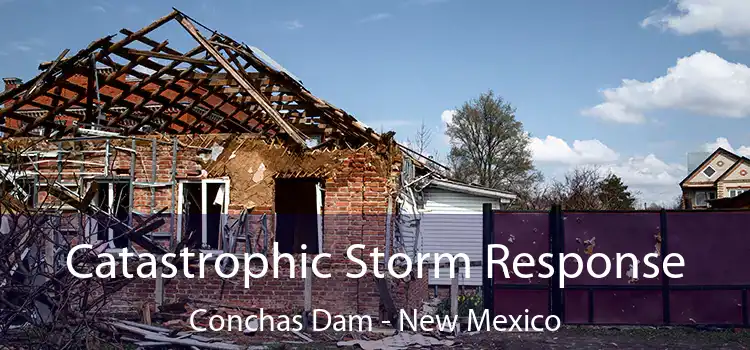 Catastrophic Storm Response Conchas Dam - New Mexico