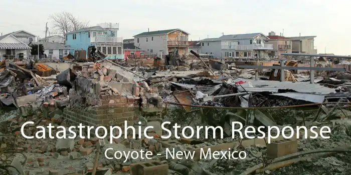Catastrophic Storm Response Coyote - New Mexico