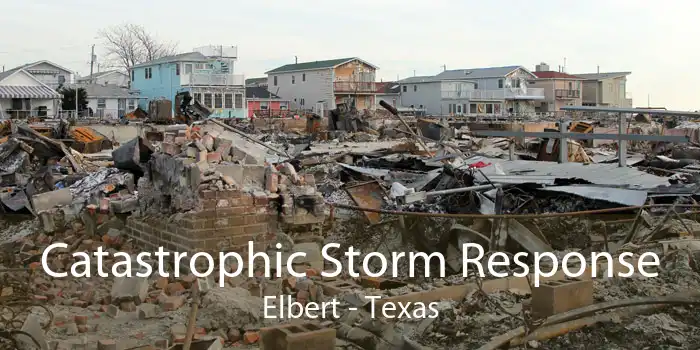 Catastrophic Storm Response Elbert - Texas