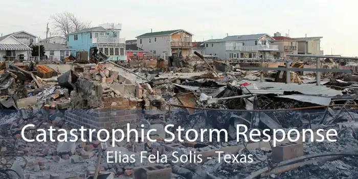 Catastrophic Storm Response Elias Fela Solis - Texas