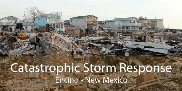 Catastrophic Storm Response Encino - New Mexico