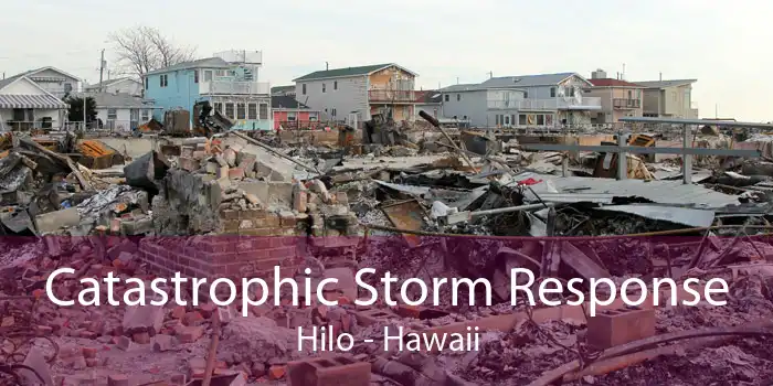 Catastrophic Storm Response Hilo - Hawaii