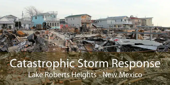 Catastrophic Storm Response Lake Roberts Heights - New Mexico