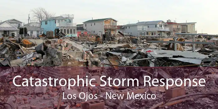 Catastrophic Storm Response Los Ojos - New Mexico