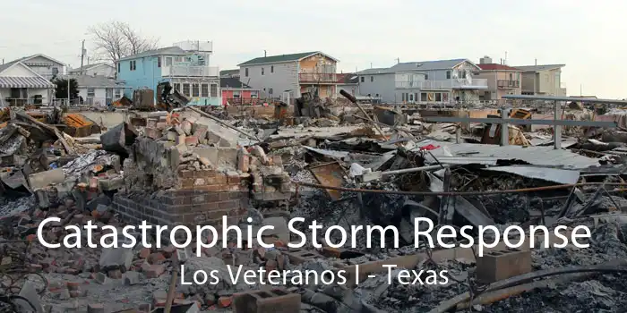 Catastrophic Storm Response Los Veteranos I - Texas