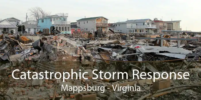 Catastrophic Storm Response Mappsburg - Virginia
