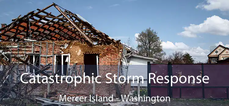 Catastrophic Storm Response Mercer Island - Washington