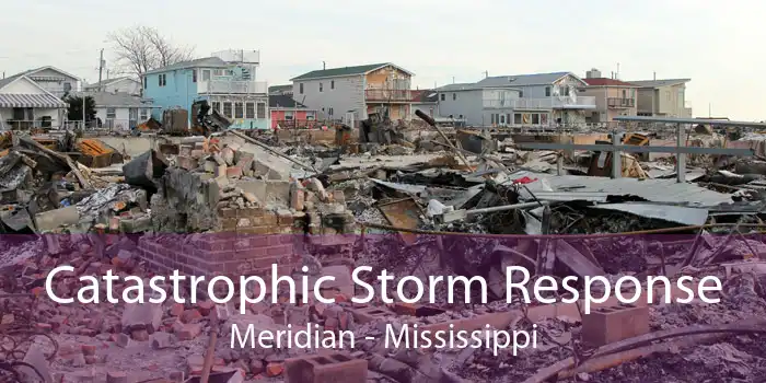 Catastrophic Storm Response Meridian - Mississippi