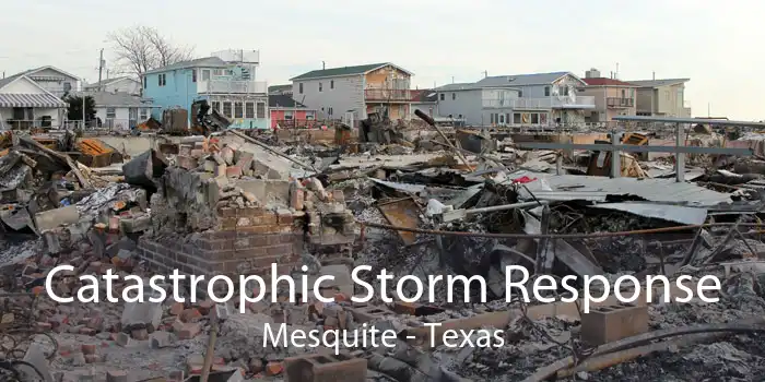 Catastrophic Storm Response Mesquite - Texas