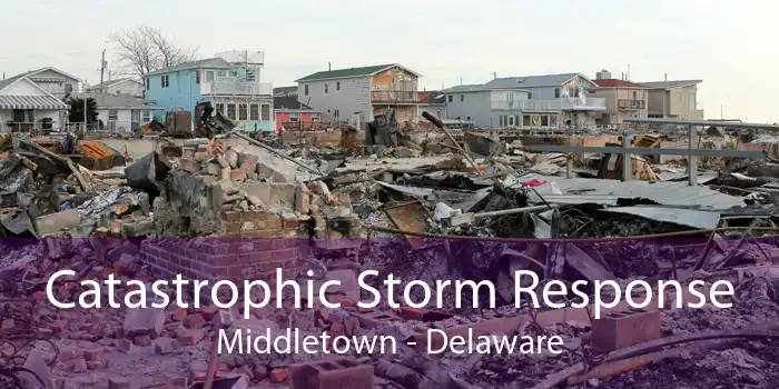 Catastrophic Storm Response Middletown - Delaware