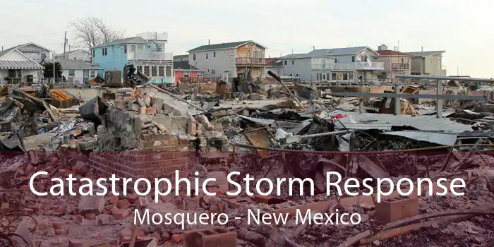 Catastrophic Storm Response Mosquero - New Mexico