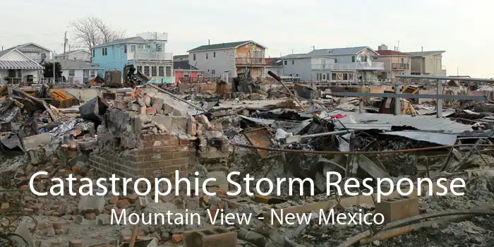 Catastrophic Storm Response Mountain View - New Mexico