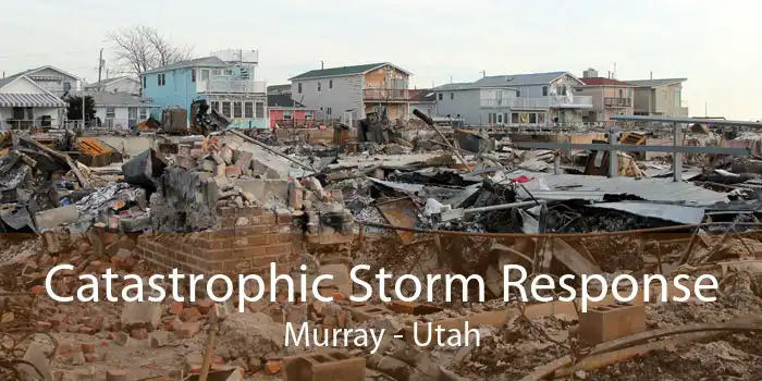 Catastrophic Storm Response Murray - Utah