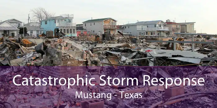 Catastrophic Storm Response Mustang - Texas