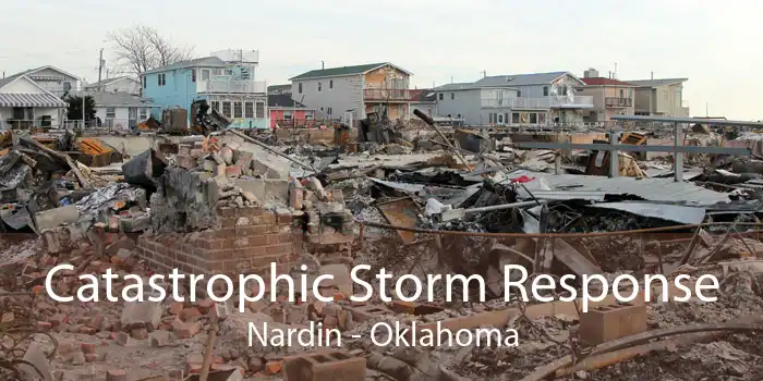 Catastrophic Storm Response Nardin - Oklahoma