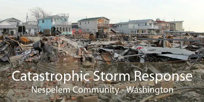 Catastrophic Storm Response Nespelem Community - Washington