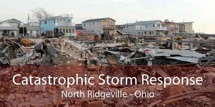 Catastrophic Storm Response North Ridgeville - Ohio
