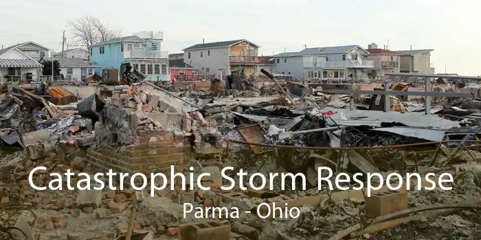 Catastrophic Storm Response Parma - Ohio