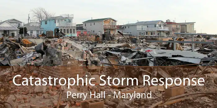 Catastrophic Storm Response Perry Hall - Maryland