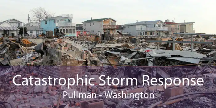 Catastrophic Storm Response Pullman - Washington