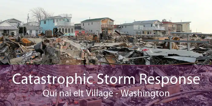 Catastrophic Storm Response Qui nai elt Village - Washington